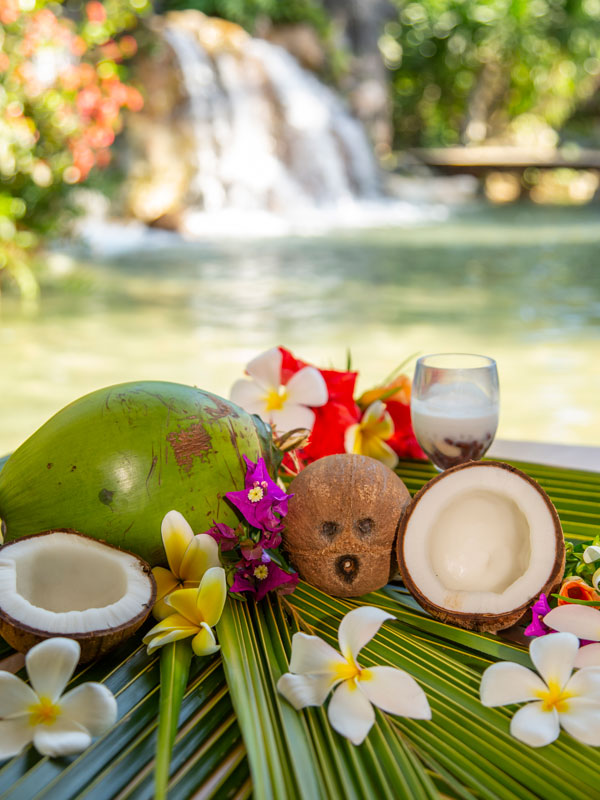 Island Costume & Coconut Experience