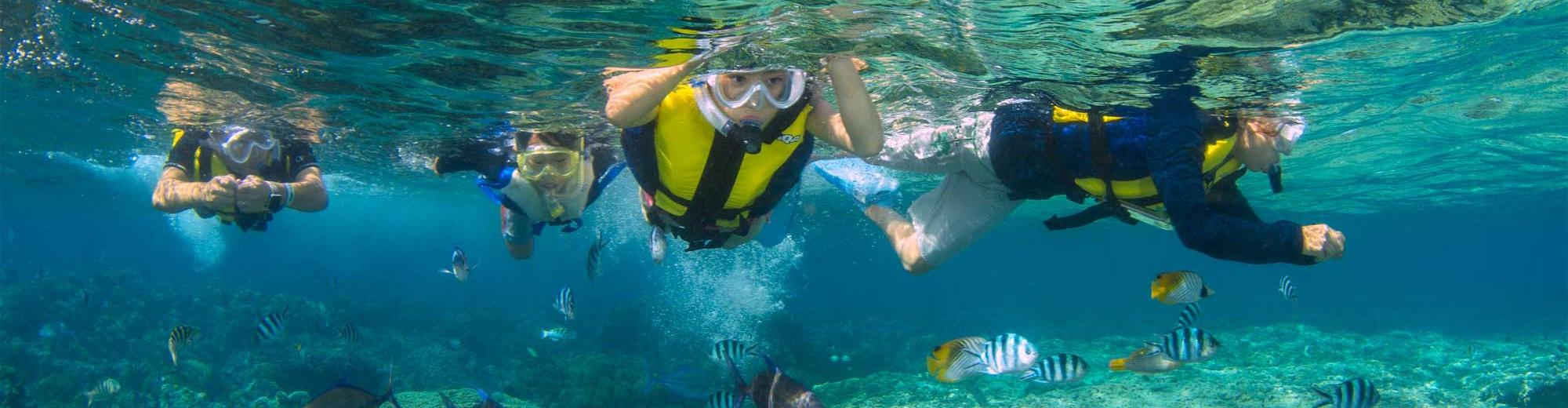 Piti Bay Marine Preserve Snorkeling Tour