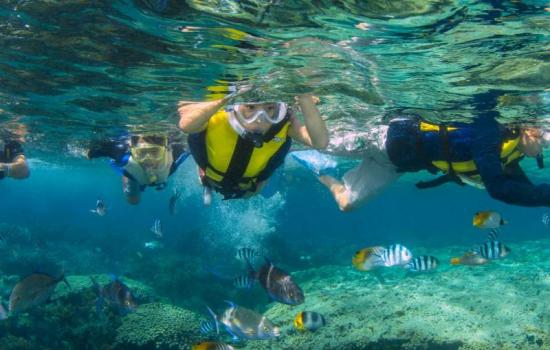 Eco Snorkeling